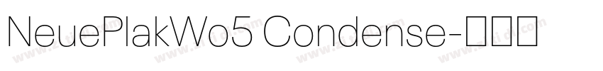 NeuePlakWo5 Condense字体转换